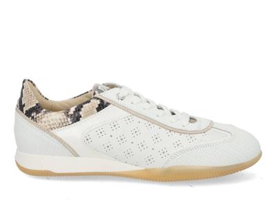 DL Sport 6947 vers 01 bianco Wit maat 38