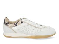 DL Sport 6947 vers 01 bianco Wit maat 38 - thumbnail