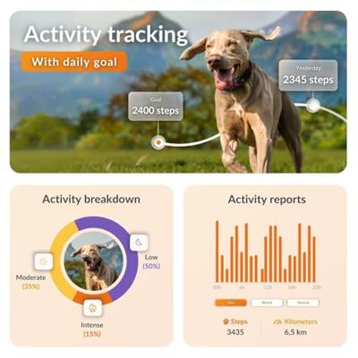 GPS hondenhalsband - WEENECT Dog XT - XL antenne - Waterdicht - Julius-K9 halsband - Werkt met abonnement - Zwart