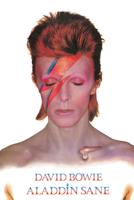 Poster David Bowie - Aladdin Sane 61x91,5cm - thumbnail