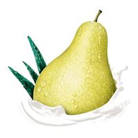 Dove Go Advanced Care Fresh Pear & Aloë Vera Deodorant Spray - thumbnail