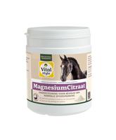 Vitalstyle Magnesiumcitraat maat:500gr - thumbnail