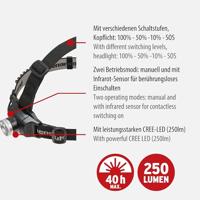 Brennenstuhl KL 251 AF Hoofdlamp werkt op een accu 250 lm - thumbnail
