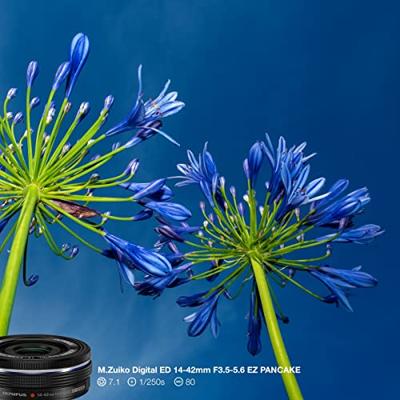 Olympus M.Zuiko Digital ED 14-42mm F/3.5-5.6 EZ zwart