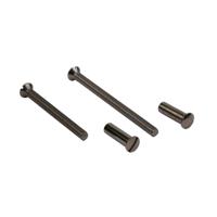 AMI Patentbout Compleet M4*38 Schroef + Huls Verpakt Per 10 In Zakje - 900111 - thumbnail