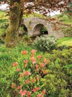 Boog bloem 50x70cm Tuinschilderij Customize-it - Customize it - thumbnail