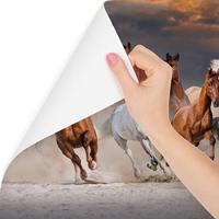 Fotobehang - Kudde galopperende paarden, 11 maten, premium print, inclusief behanglijm - thumbnail