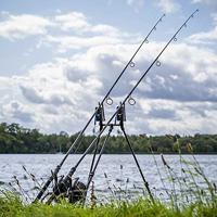 Avid Lok Down 2 Rod Buzz Pod - thumbnail