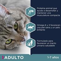 Eukanuba Adult kip kattenvoer 10 kg - thumbnail