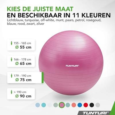 Fitnessbal Anti-Burst 75cm Purple - thumbnail