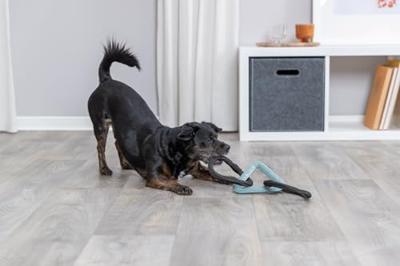 TRIXIE HONDENSPEELGOED DRIEHOEK MET TOUWRINGEN CITYSTYLE TPR 44 CM