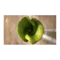 Philips HR2500/00 Eco Conscious Edition 5000 Serie Blender Wit - thumbnail