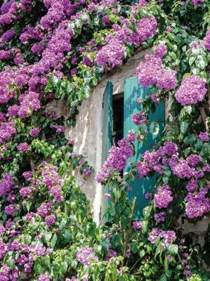 Bloemen luiken 50x70cm Tuinschilderij Customize-it - Customize it