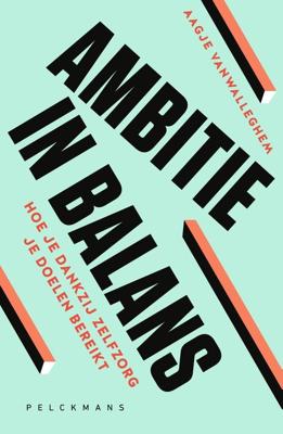 Ambitie in balans - Aagje Vanwalleghem - ebook