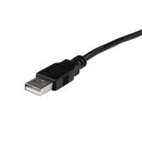 Adapter DisplayPort naar DVI Startech DP2DVID2 Zwart - thumbnail