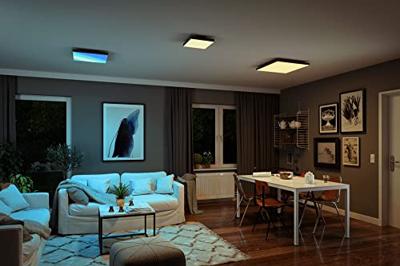 Paulmann Velora Rainbow 79909 LED-plafondlamp 31.00 W Warmwit Zwart