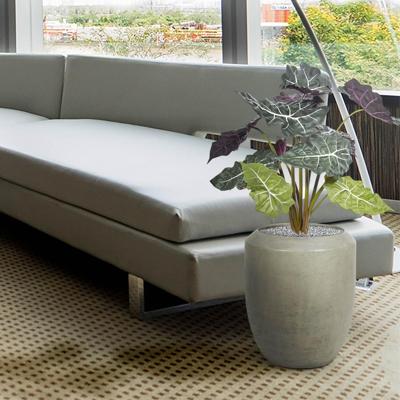 Red Alocasia kunstplant 65cm