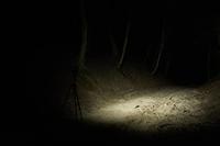 ArmyTek Wizard C2 WUV White & Ultraviolet Hoofdlamp werkt op een accu LED Met magneethouder 1100 lm 3 h 65 g - thumbnail