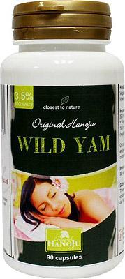 Wild yams 500mg 90 Vegetarische capsules