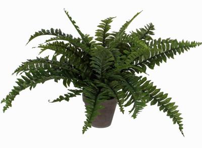 Kunstplant mica boston varen groen in pot Kunstplant mica boston varen groen in pot