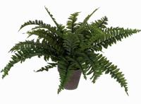 Kunstplant mica boston varen groen in pot - thumbnail
