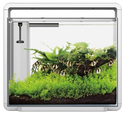 Superfish Home 45 aquarium wit