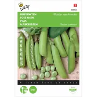 Doperwten Wonder van Amerika - thumbnail