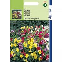 Zaden Petunia Cascade F1 Hortitops - Hortitops - thumbnail