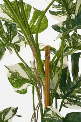 Mica Decorations kunstplant monstera 140cm groen