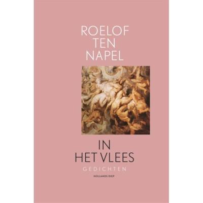 In het vlees (Paperback) In het vlees (Paperback)