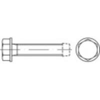 TOOLCRAFT 141144 Tapbouten M8 60 mm Buitenzeskant DIN 7500 Staal Galvanisch verzinkt 500 stuk(s) - thumbnail