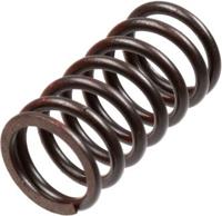 TRW koppelingsveren set clutch spring kit mef320-6 - thumbnail