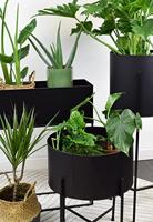 LOFT42 Joy Plantenbak Rond - Metaal - Mat Zwart - thumbnail