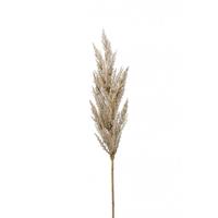 Kunstbloem Pampas Gras 92 cm - thumbnail