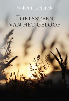 Toetssteen van het geloof - Willem Teellinck - ebook