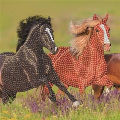 Diamond painting paarden kaart maken