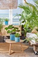 The ocean collection round 16cm atlantisch blauw elho - Elho - thumbnail