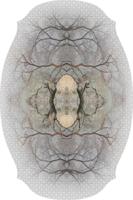 Moooi Carpets - Diamond Tree - 400x267 cm Rond Vloerkleed - thumbnail