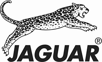 Jaguar Scissors Silver Line CJ 43 Plus