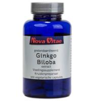 Ginkgo biloba extract 120 mg - thumbnail
