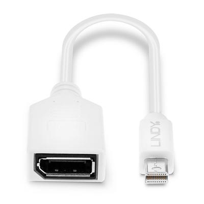 Lindy Kabel / Adapter mini-DP DP Wit kabeladapter/verloopstukje Lindy Kabel / Adapter mini-DP DP Wit kabeladapter/verloopstukje