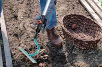 Gardena Cs bietenhak 16cm Roestvrij Staal - Compatibel met Combisystem, Perfect voor Precisie Tuinwerk, 25jr Garantie - thumbnail