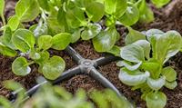 Gardena Micro Drip Systeem Kruisstuk 4,6 mm (3/16") - thumbnail