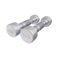 Dumbellset 2 kg (2 x 1 kg) Chroom - thumbnail