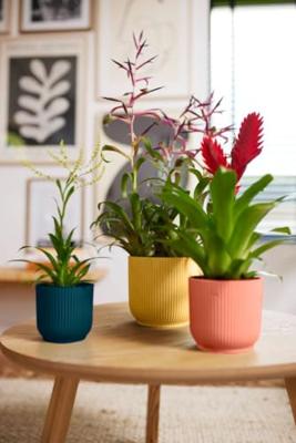 Elho Bloempot Vibes Fold Diepblauw Ø7cm - thumbnail
