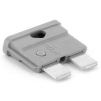 TRU COMPONENTS 8551200 Standaard steekzekering (auto) 2 A Grijs 1 stuk(s) - thumbnail