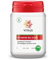 Vitamine B6 20 mg - 100 capsules - thumbnail