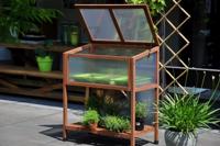 Red Leaf kweekkas - thumbnail