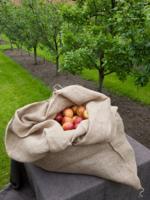 Jutezakken met aantrekkoord - thumbnail