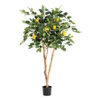 Citroen Kunstplant 120cm - thumbnail